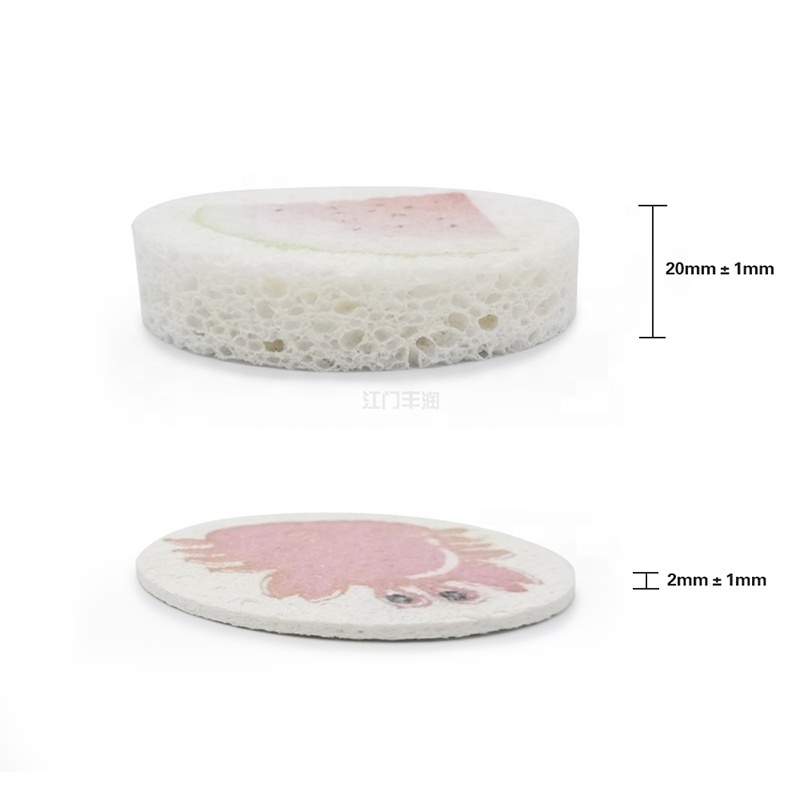 Good Quality washing sponges Custom scrub pads popular cellulose sponge