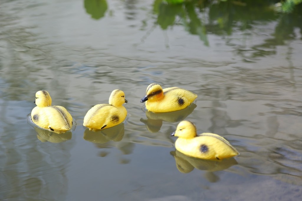 Realistic Plastic yellow small baby duck decoy hunting decoys Floating Baby Ducklings