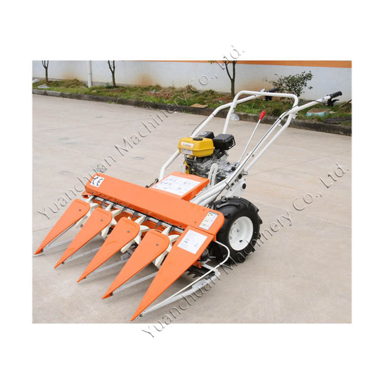 Crop windrower with compact structure Walk-behind grass and straw harvester