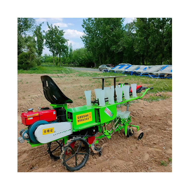 Multi-row onion seedling transplanter Multifunctional green onion seedling planter