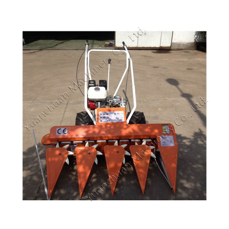 Crop windrower with compact structure Walk-behind grass and straw harvester