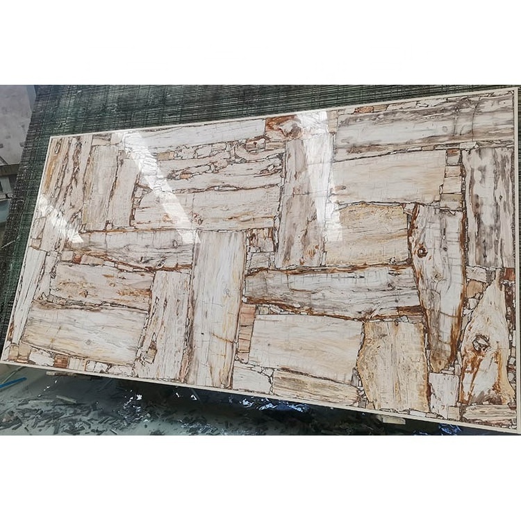 Brown Coral Marble Wall Panels Petrified Wood Semipreciou Coral Stone Slab for Decoration