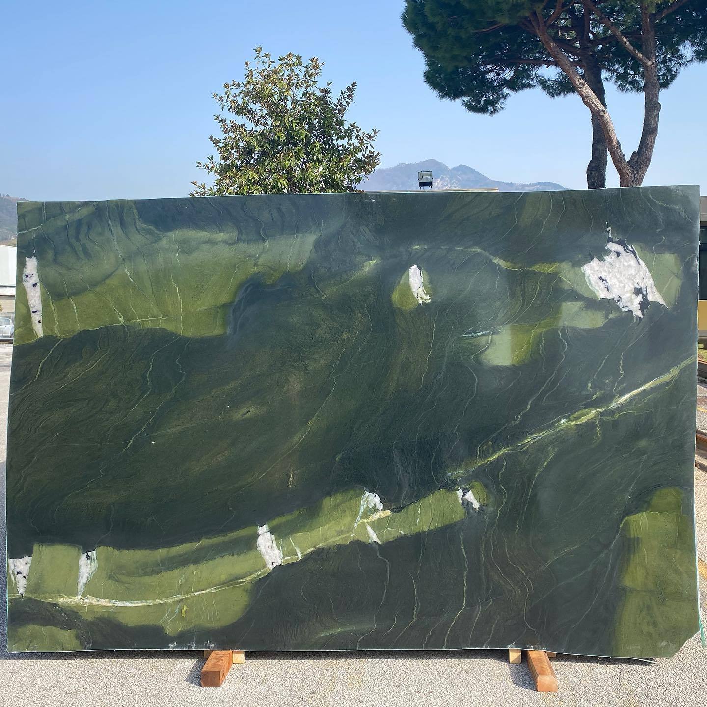 Luxury Green Marble Slab Brazil Green Avocatus Quartzite Slab For Tv Background Marble Wall Panel