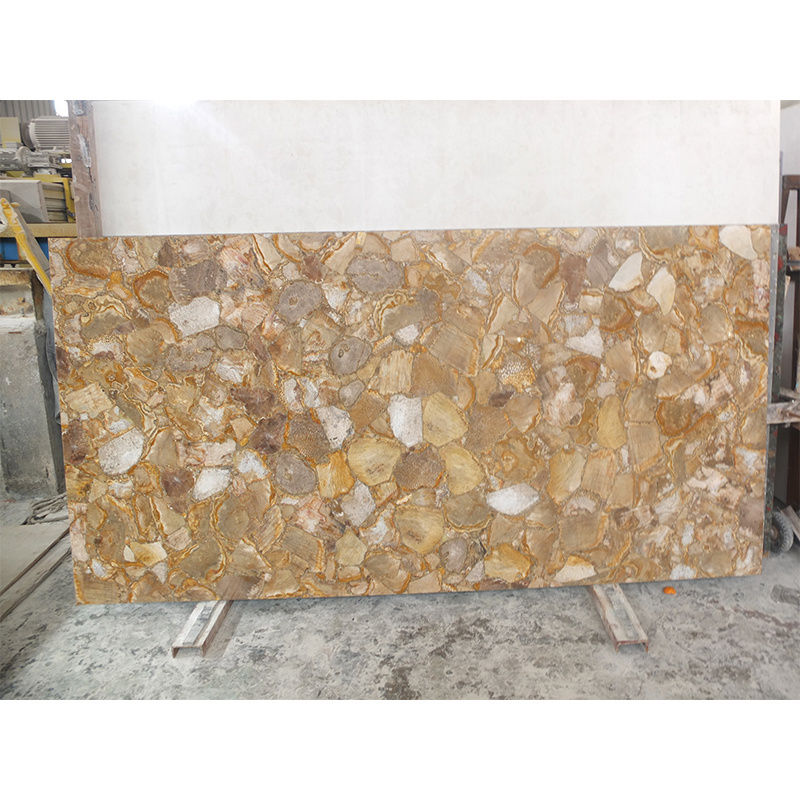 Brown Coral Marble Wall Panels Petrified Wood Semipreciou Coral Stone Slab for Decoration