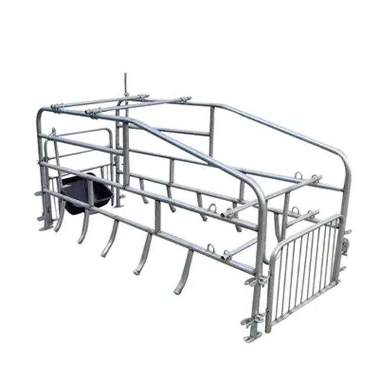 Factory Customization Wholesale Pig Gestation Pen Sow Farm Gestation Stall Gestation Crate