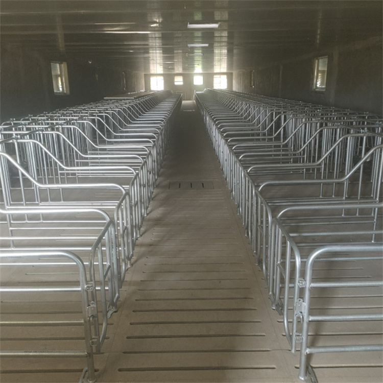 Factory Customization Wholesale Pig Gestation Pen Sow Farm Gestation Stall Gestation Crate