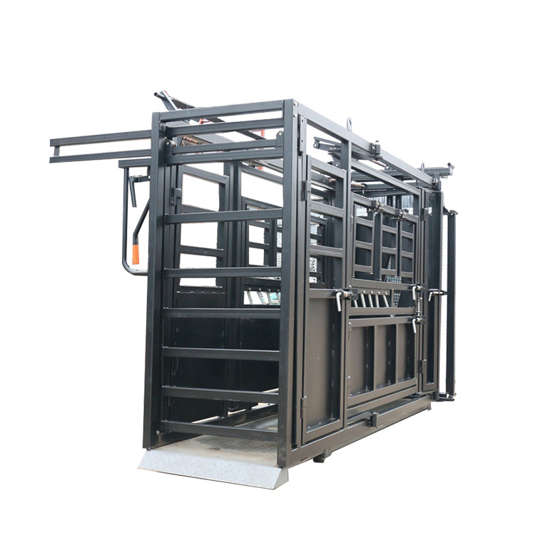 Weighing Scale Cattle Farm Equipment Livestock Heavy Duty Cattle Headlock Crush Squeez Cattle