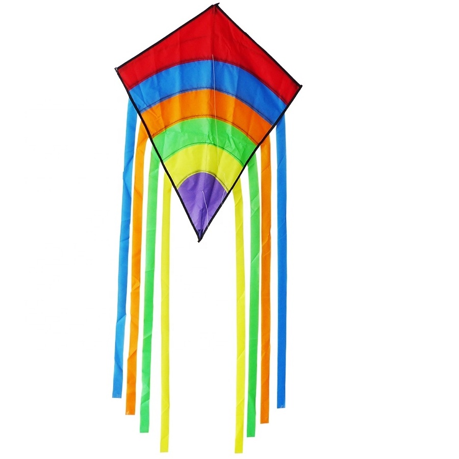 custom design  promotional  advertising   RPET material kite from the kite factory