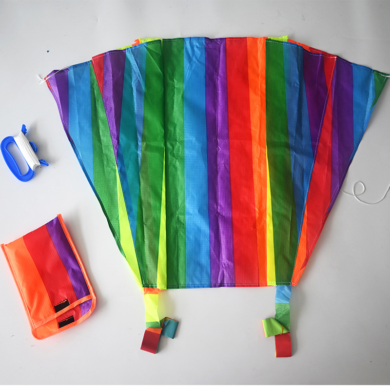 Best selling Big Pocket Sled kite single line power kites on Sale