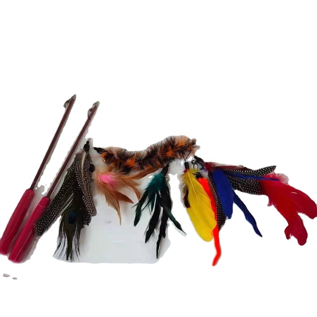 Colorful Cat Toy Stick Extension Fishing Rod with Feather Interactive Cat Teaser Wand Toy Bundle Set