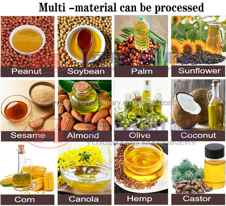 Coconut Seed corn peanut Mustard cold press oil machine soybean sunflower olive cold screw oil press oil processing machine