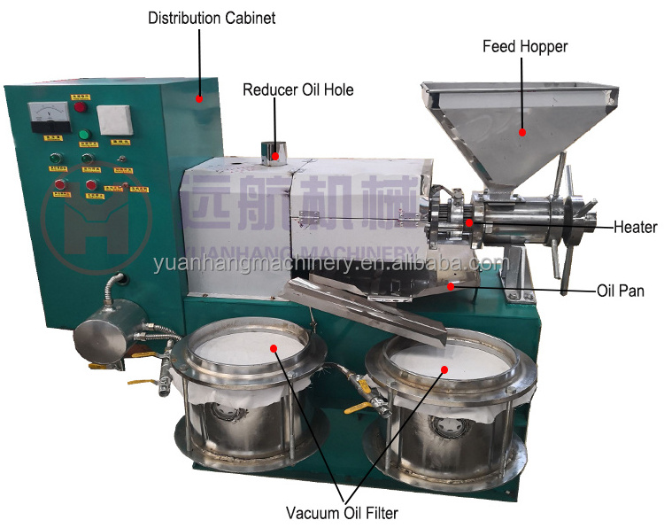 Coconut Seed corn peanut Mustard cold press oil machine soybean sunflower olive cold screw oil press oil processing machine