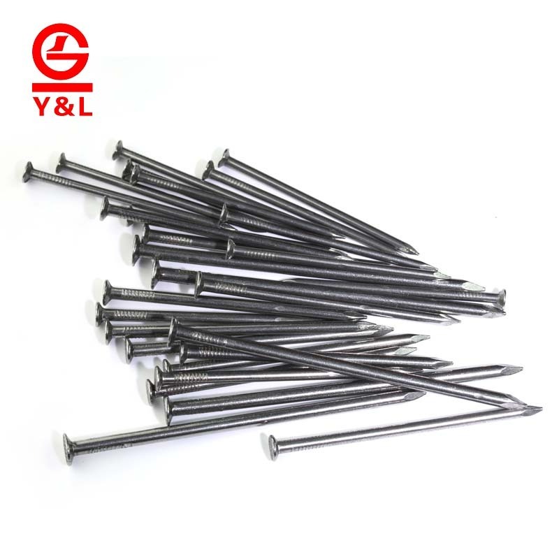 Wholesale factory price galvanized steel common polished wire iron nail