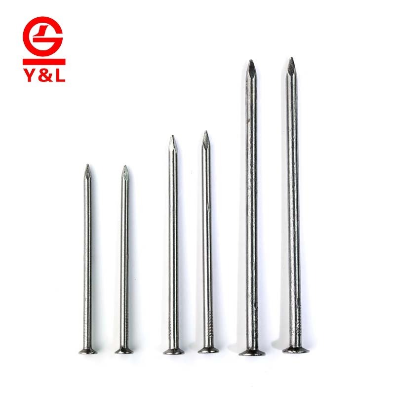 Wholesale factory price galvanized steel common polished wire iron nail