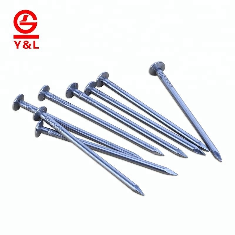 Wholesale factory price galvanized steel common polished wire iron nail