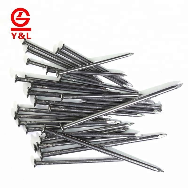 Wholesale factory price galvanized steel common polished wire iron nail