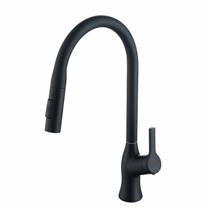 Nickel 360 Degree Swivel Spout Flexible Hose For  Kitchen Sink Faucet Splash Guard Out Kitchen Faucet Sprayer Kitchen