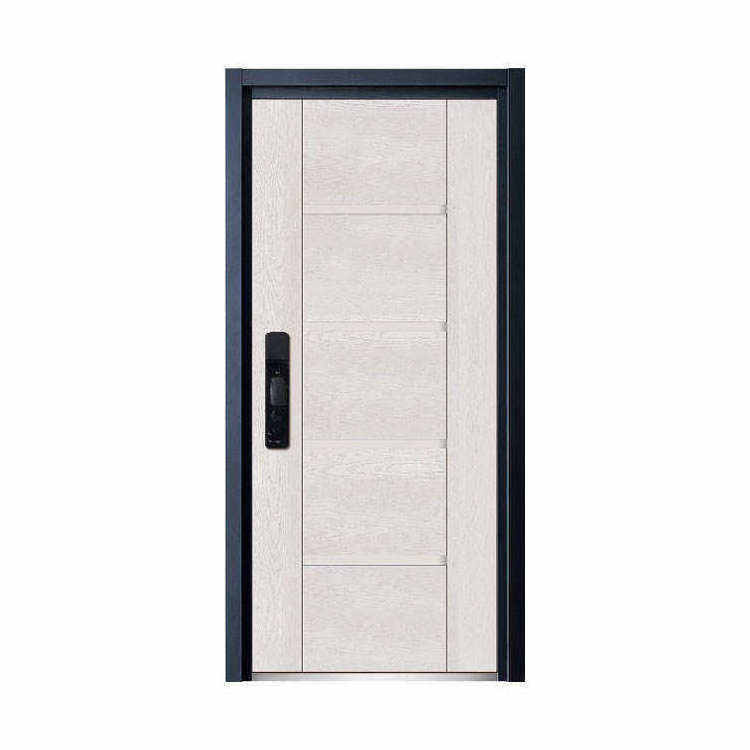 Lyroe New Chinese Security Doors Bedroom High Quality Metallic Security Locks Front Doors