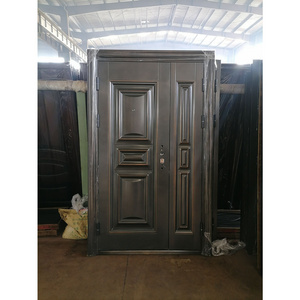 Lyroe New Arrive Wholesale High Quality Steel Door Premium Durable Design One and half Door