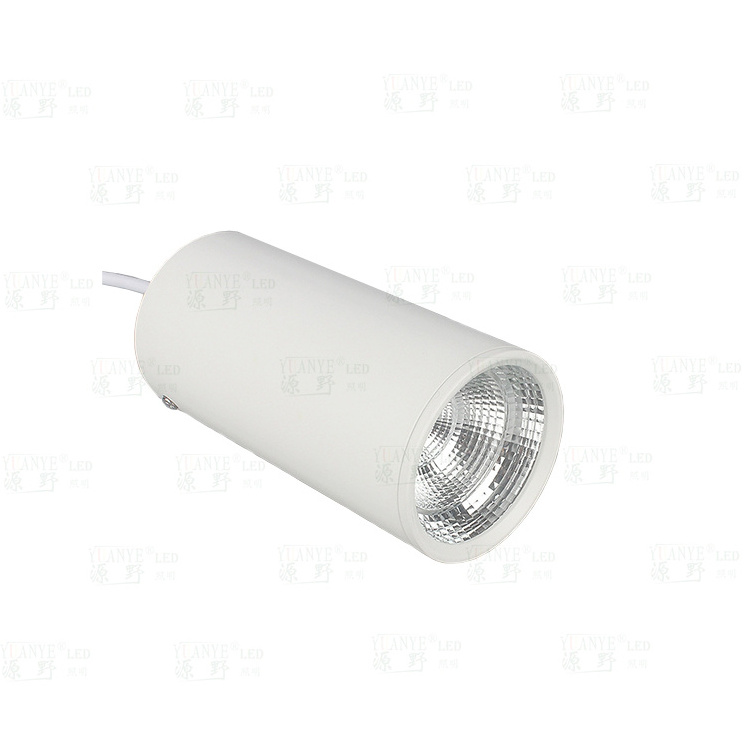 3w to 150w ceiling dmx512 RDM dimming suspended mounted decorative fixtures ip65 outdoor modern led pendant light