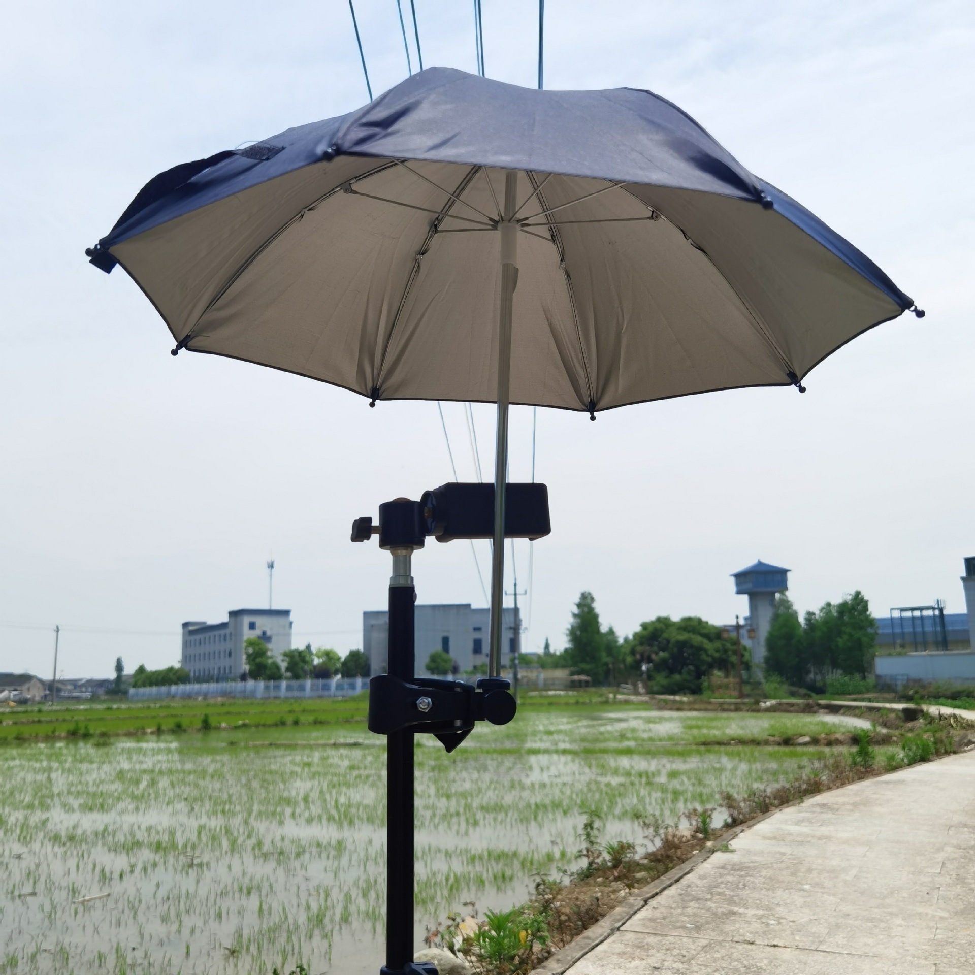 Mini cell-phone-umbrella phone umbrella for suction cup cute mobile cell phone holder with sun umbrella stand pig