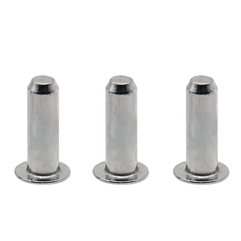 Metal Rivet  Fastener Supplier Stainless Steel Flat Button Head Rivet  Blind Solid Rivets