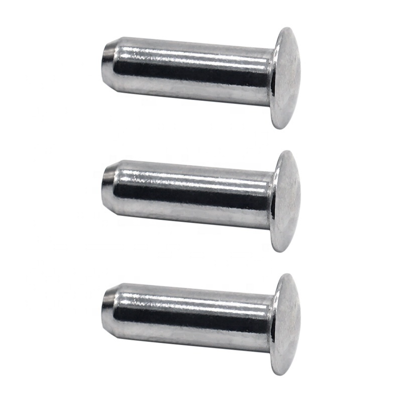 Metal Rivet  Fastener Supplier Stainless Steel Flat Button Head Rivet  Blind Solid Rivets