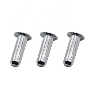 Metal Rivet  Fastener Supplier Stainless Steel Flat Button Head Rivet  Blind Solid Rivets