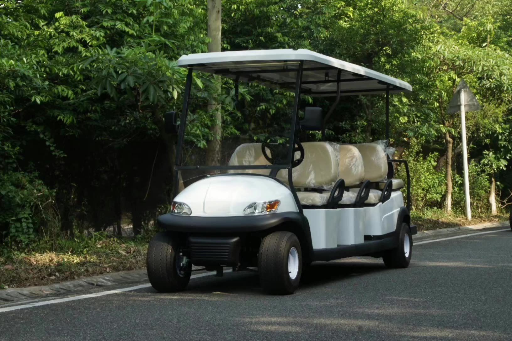 cheaper Electric Golf Carts with 14