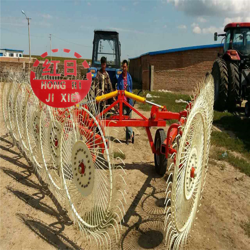 Tractor implement hay rake rotary hay rake for YTO tractor