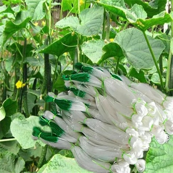 good quality high strength plant plastic trellis support cucumber net