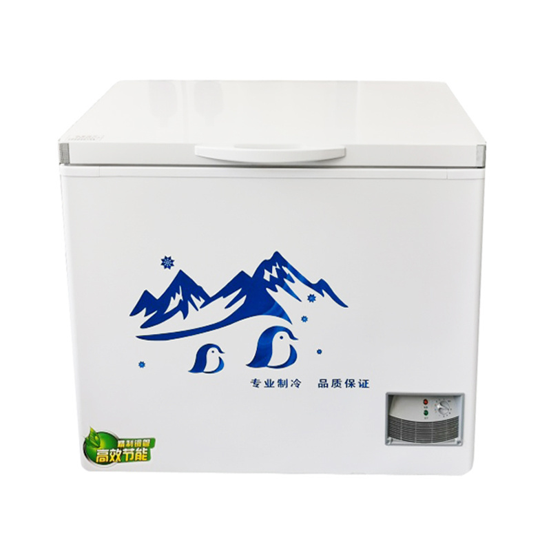 Domestic Commercial Used  Deep Chest Freezer Food Fish Beverage Ice Cream Horizontal Freezers 320L