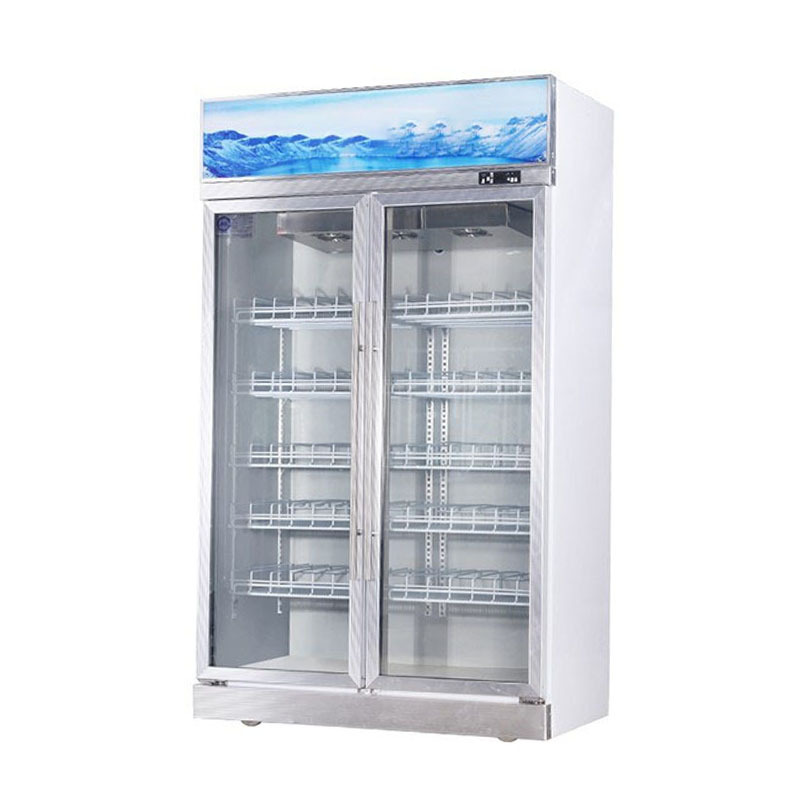 Wholesale Conventional Frost Free Pepsi Refrigerator Vertical Refrigeration Equipment With Compressor