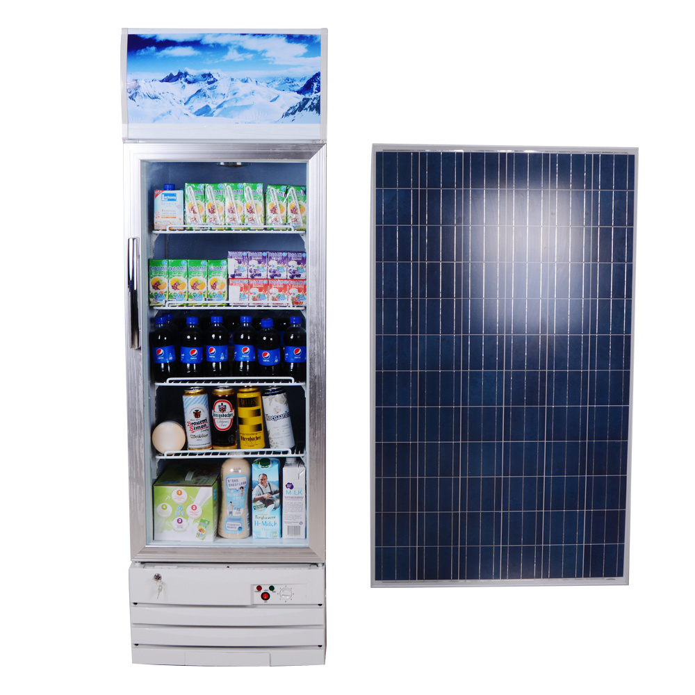 168L Solar Stand Up Bottom Freezer Stainless Steel Double Doors Refrigerator DC 12V 24V