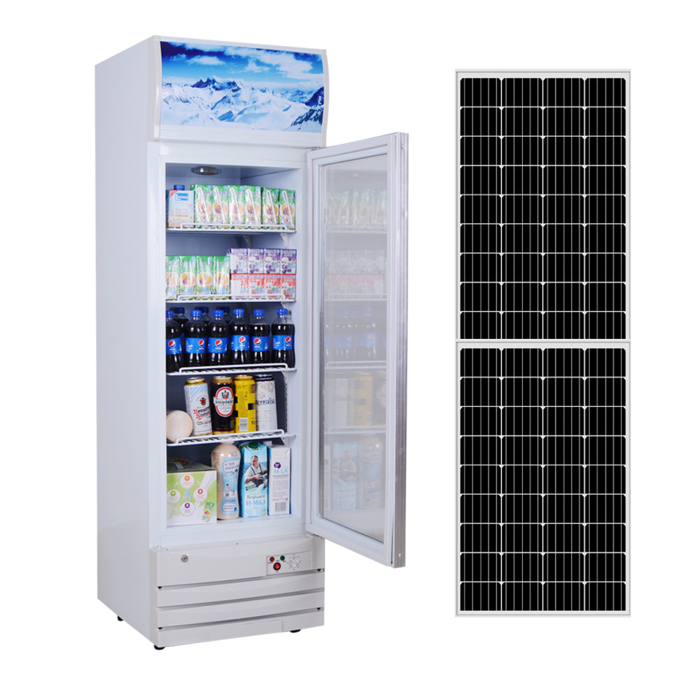 168L Solar Stand Up Bottom Freezer Stainless Steel Double Doors Refrigerator DC 12V 24V