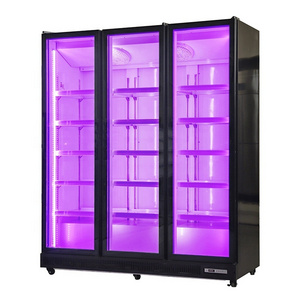 2021 Hot Sale Commercial Beverage Cooler Glass Refrigerated Showcase Display Fridge Ice Machine