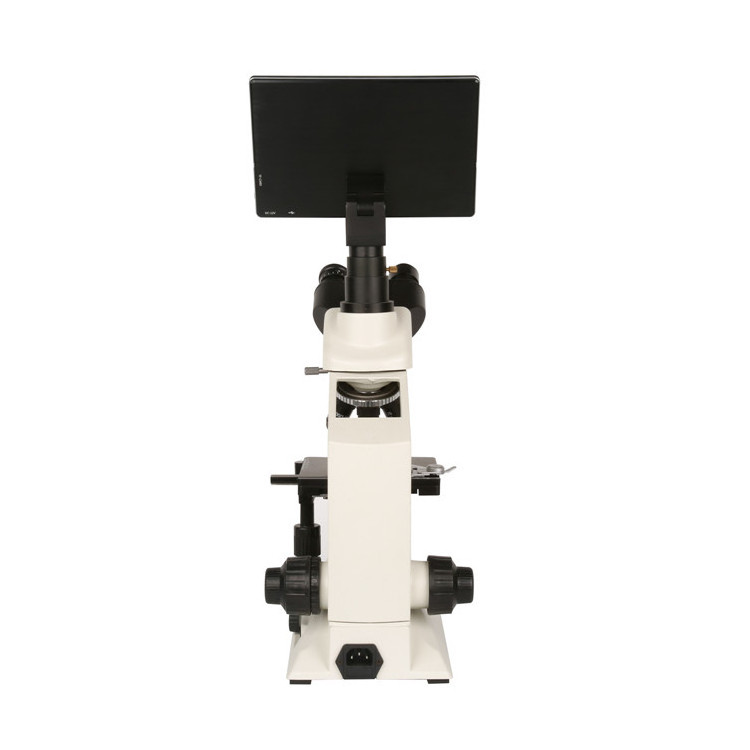 Ysenmed Factory supply medical large screen lab instrument mini microscope binocular camera scanning electron microscope price