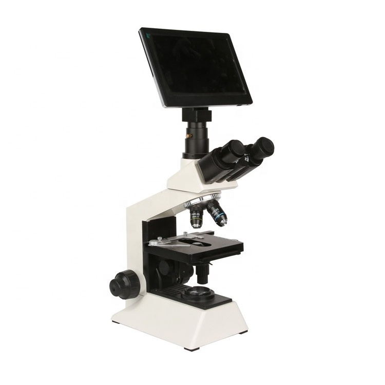 Ysenmed Factory supply medical large screen lab instrument mini microscope binocular camera scanning electron microscope price