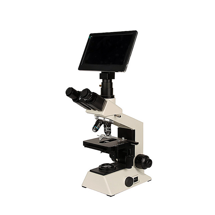 Ysenmed Factory supply medical large screen lab instrument mini microscope binocular camera scanning electron microscope price