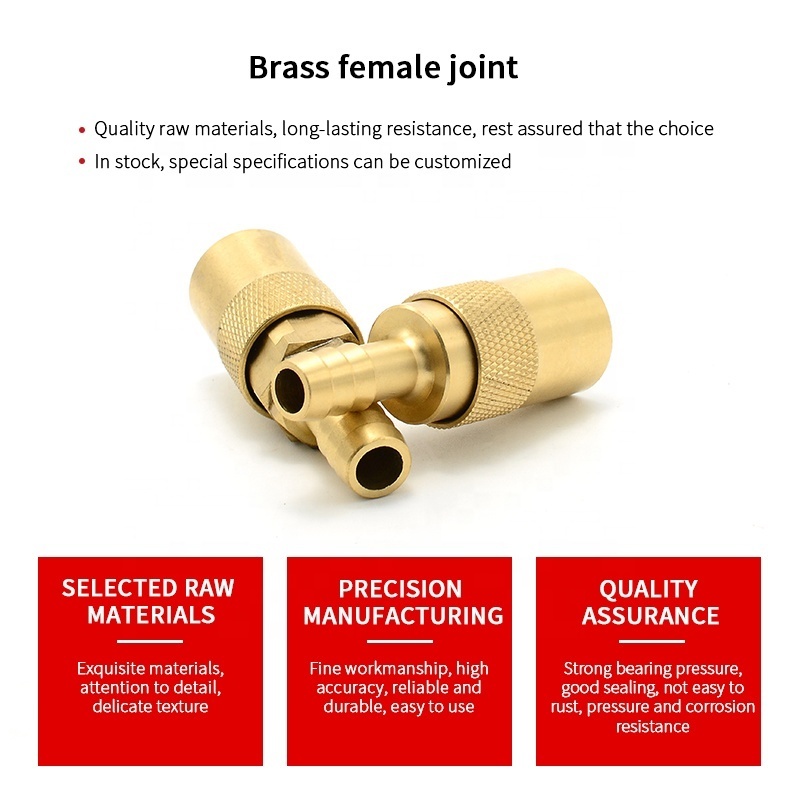 JS206 JS306 Series 3/4 Quick Coupling Hose Connectors Female Thread Straight Connector