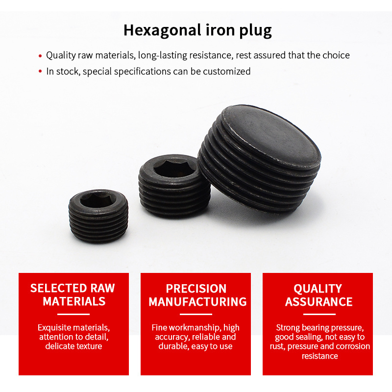 Pipe fittings in chinaHex iron plug black (throat plug) stainless steel pipe fitting