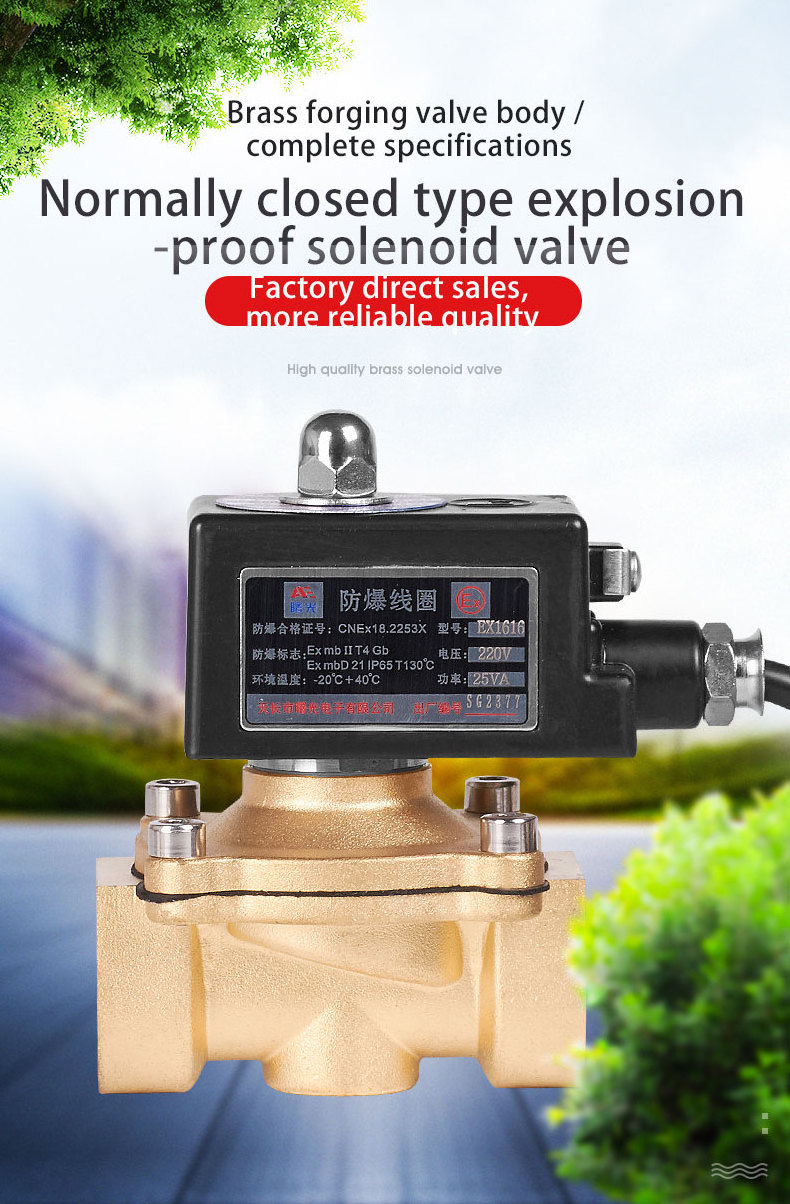 220v ac 24v dc 2/2 Way 1/2 inch brass explosion proof electric gas detector fluid solenoid valve