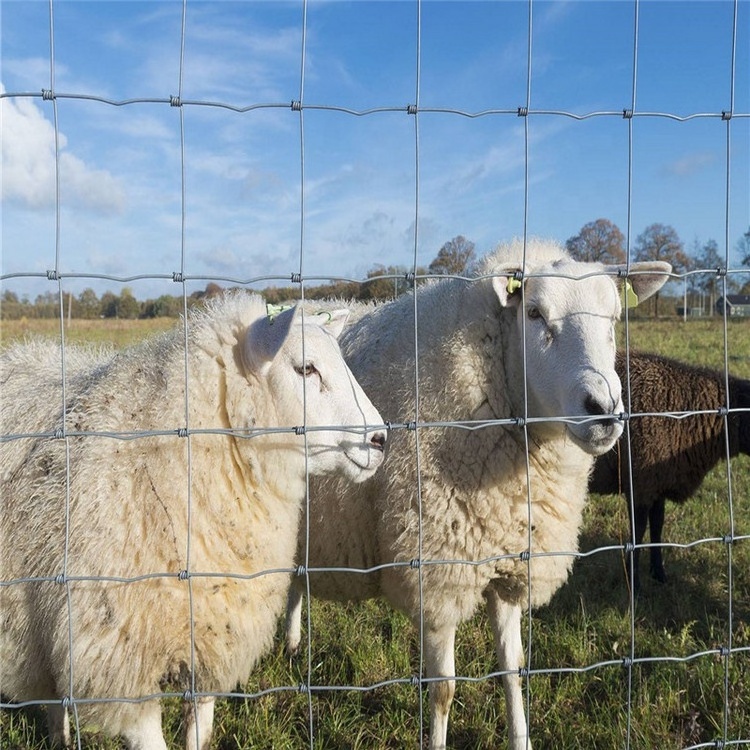 Galvanized Field Fence Wire 8Ft Cattle Sheep Goat Livesstock Field Fence