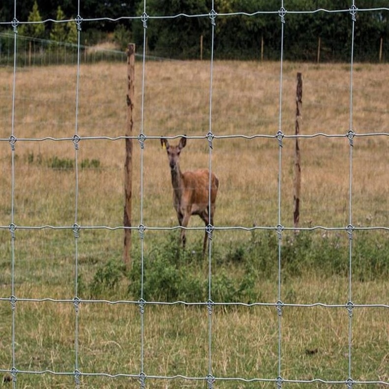 Sheep Farm/Field/Deer Galvanized Goat Cattle Cheap Wire Mesh Roll Deer Field Farm Fence