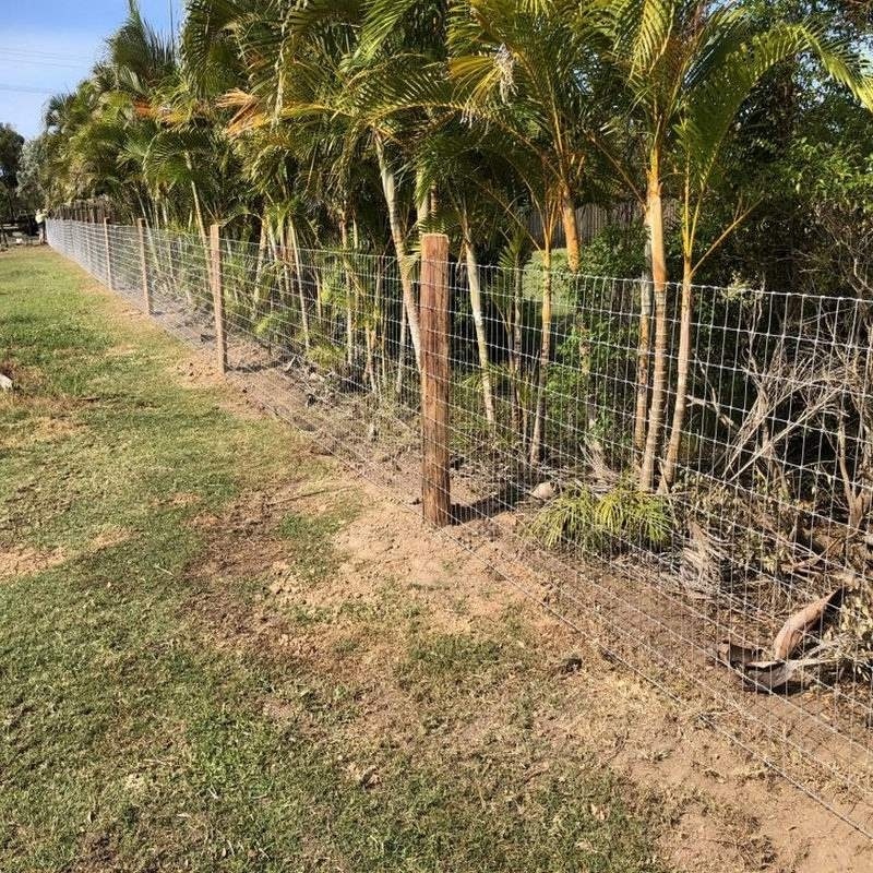 Sheep Farm/Field/Deer Galvanized Goat Cattle Cheap Wire Mesh Roll Deer Field Farm Fence