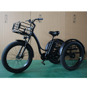 Electric Scooter  3 Wheel Electric Tricycle Factory sales EEC certificate electric tricycle adult big wheel tricycle cargo  car