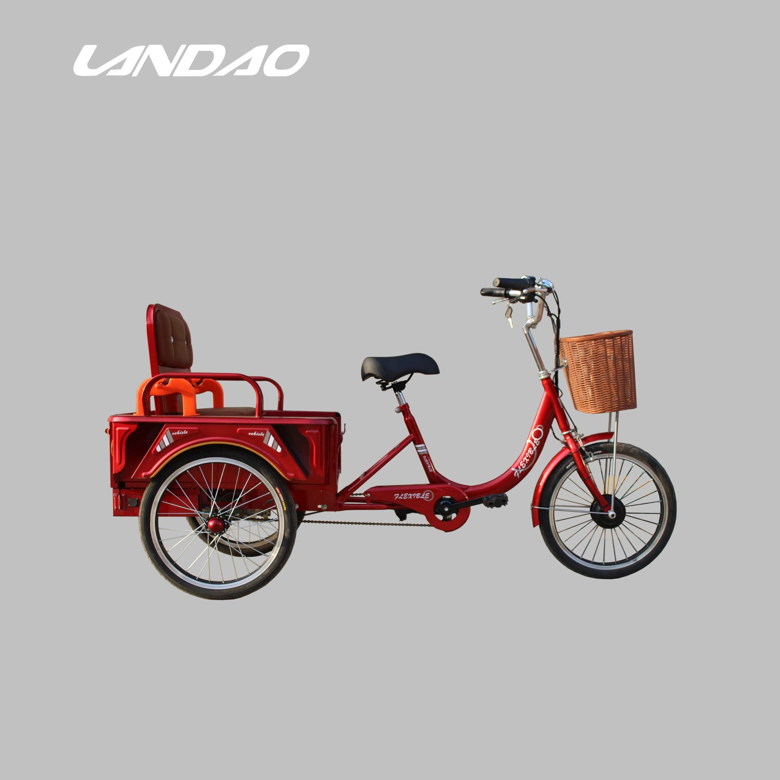 3 Wheel  20 inch Steel frame 48V 20Ah Lithium Battery Strong power cargo delivery electric tricycle large capacity e  bicycle