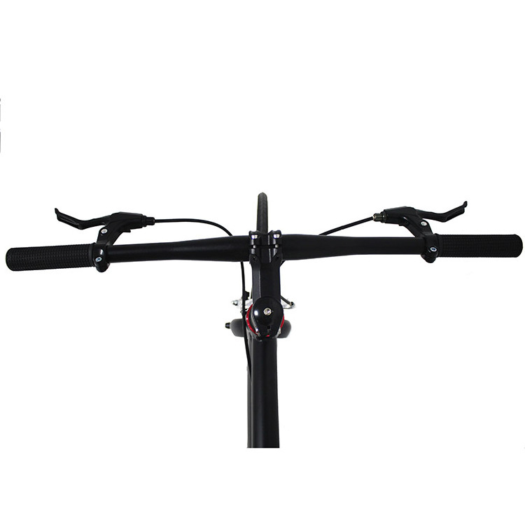 High quality  fixed gear Mountain Bicycle Aluminum Alloy Adult Black Red Customized Frame Logo Style Gears Gross