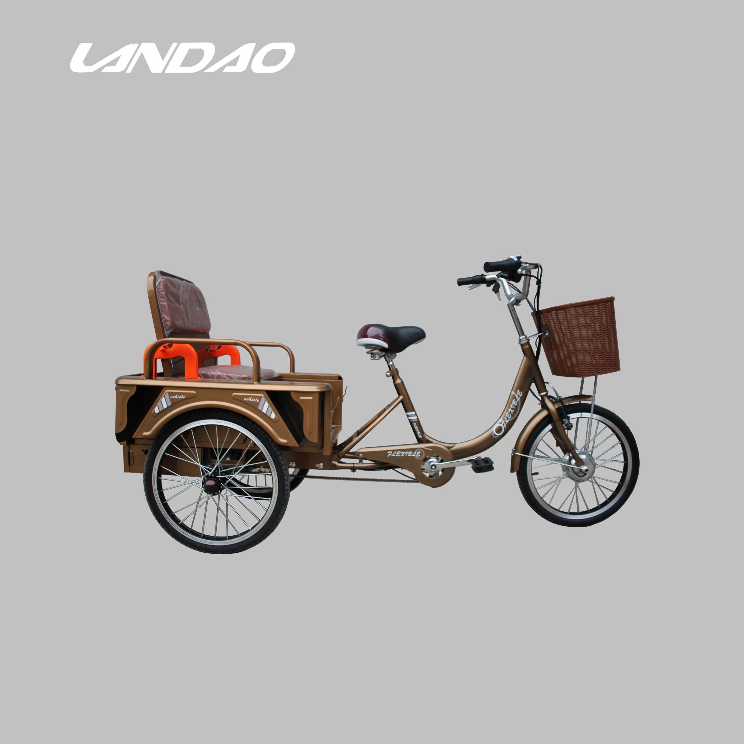 3 Wheel  20 inch Steel frame 48V 20Ah Lithium Battery Strong power cargo delivery electric tricycle large capacity e  bicycle