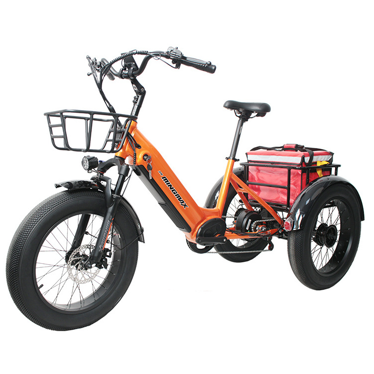 MINGMAX big 3 wheel off road fat tire pedal assist electric trike bike for adults electric cargo bike 3 wheel